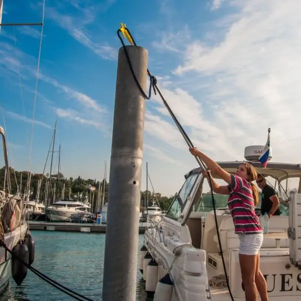 Dockhook Standard - immagine 5