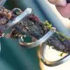 Ropecleaner - Image 5