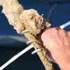 Ropecleaner - Image 4