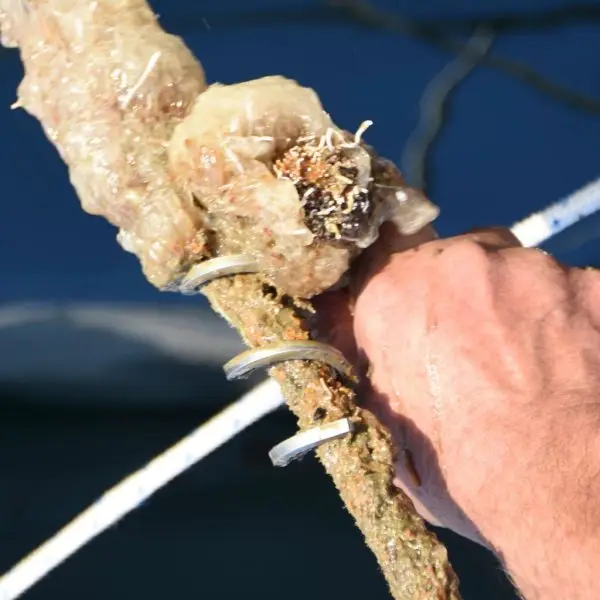 Ropecleaner - Image 4