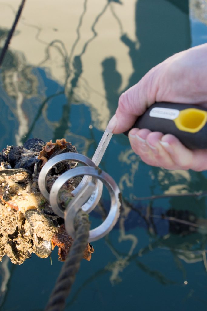 Boatasy Ropecleaner