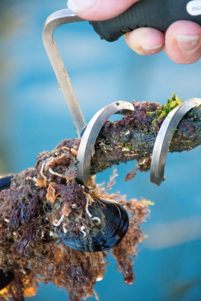 Boatasy Ropecleaner
